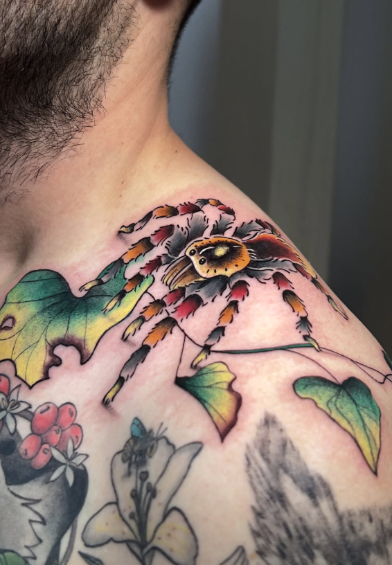 Tarántula neo-tradicional